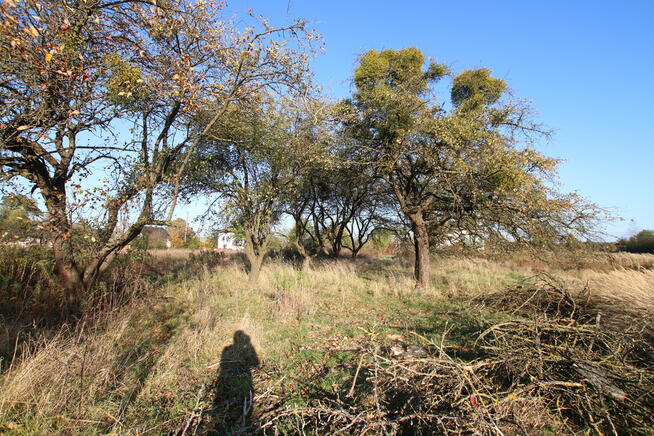 Działka budowlana 15 ar Kozioł g. Baranów
