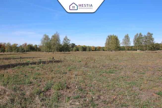Działka w Grzepnicy 1500 m2 - 17km od Szczecina