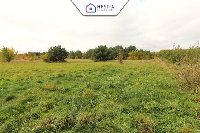 Duża działka z linią brzegową jeziora Miedwie