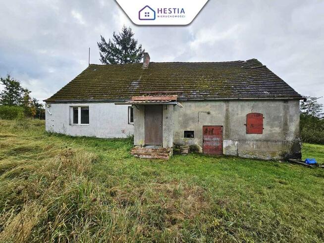 Dom wolnostojący z dużą działką.