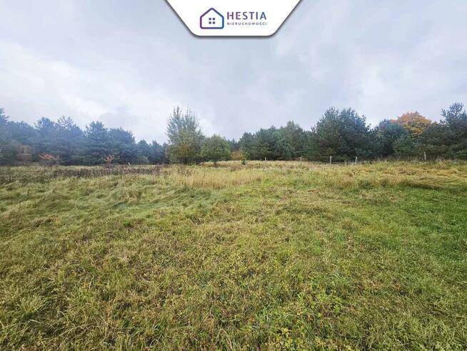 Dom wolnostojący z dużą działką.