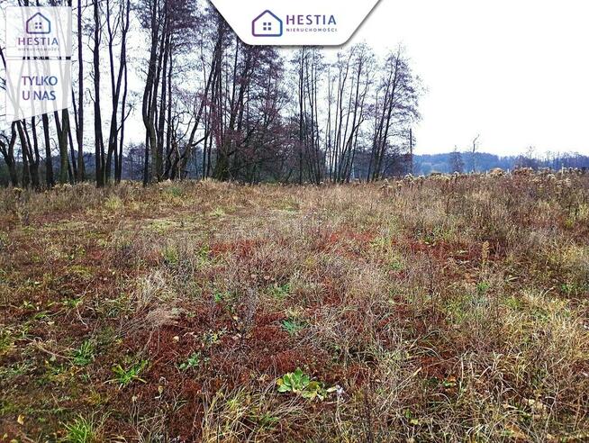 Malownicza Działka na Obrzeżach Stargardu