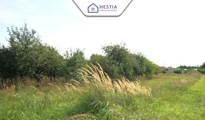 Ińsko - sprzedaż działki budowlanej