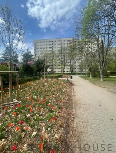 3-pokojowe mieszkanie na Mokotowie