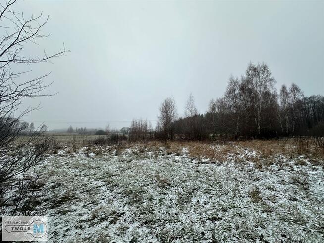 Działka rolna Śladków Duży Śladków Duży