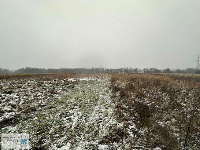 Działka rolna Śladków Duży Śladków Duży