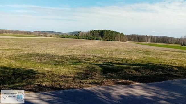 Działka leśna Strawczyn Korczyn