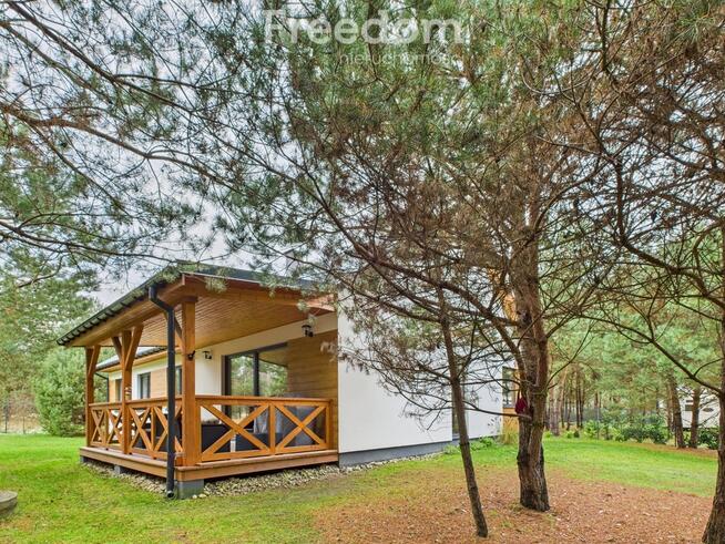 Dom parterowy w otulinie lasu