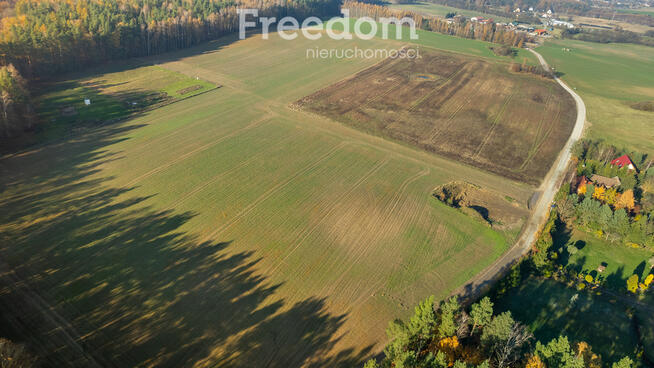 Działka budowlana z usługami blisko lasu !
