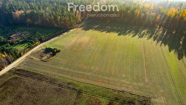 Działka budowlana z usługami blisko lasu !