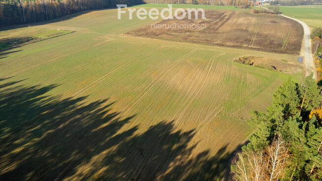 Działka budowlana z usługami blisko lasu !