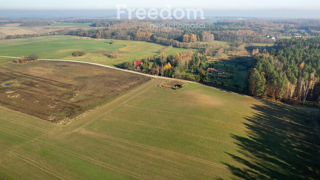 Działka budowlana z usługami blisko lasu !