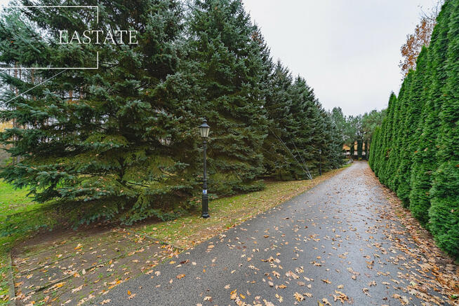 Działka budowlana Wiktorów gm. Leszno, Leśna