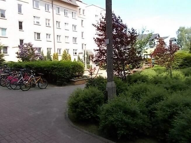 Żwirki i Wigury 81E, funkcjonalna kawalerka