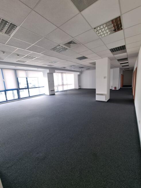 Lokal biurowy w świetnej lokalizacji