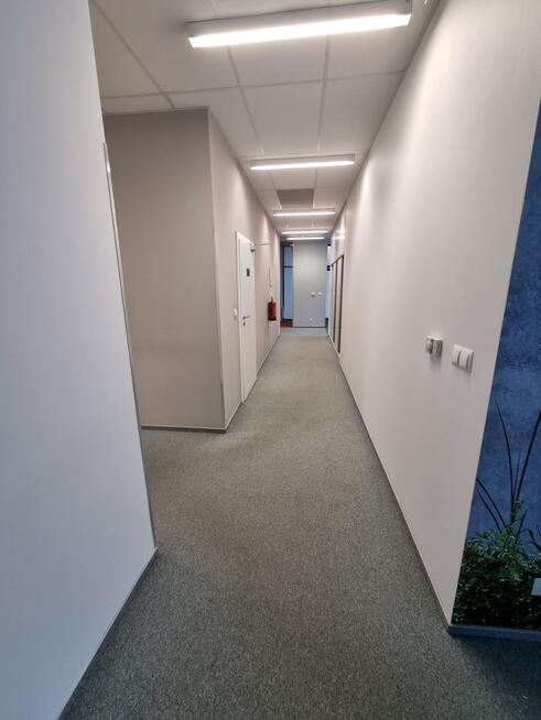 Lokal biurowo-usługowy na parterze