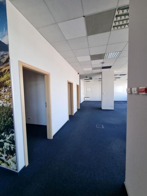 Lokal biurowy na ul. Wadowickiej 6