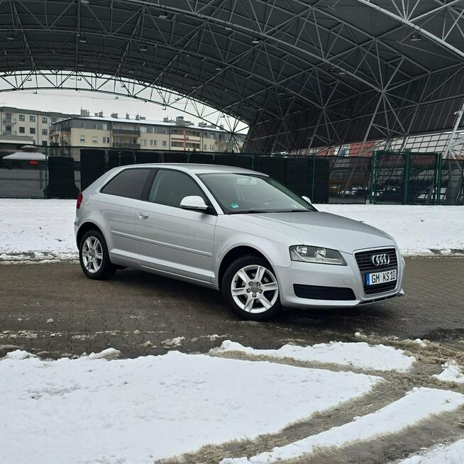 Audi A3 8P 1.6 3-drzwiowe Benzyna