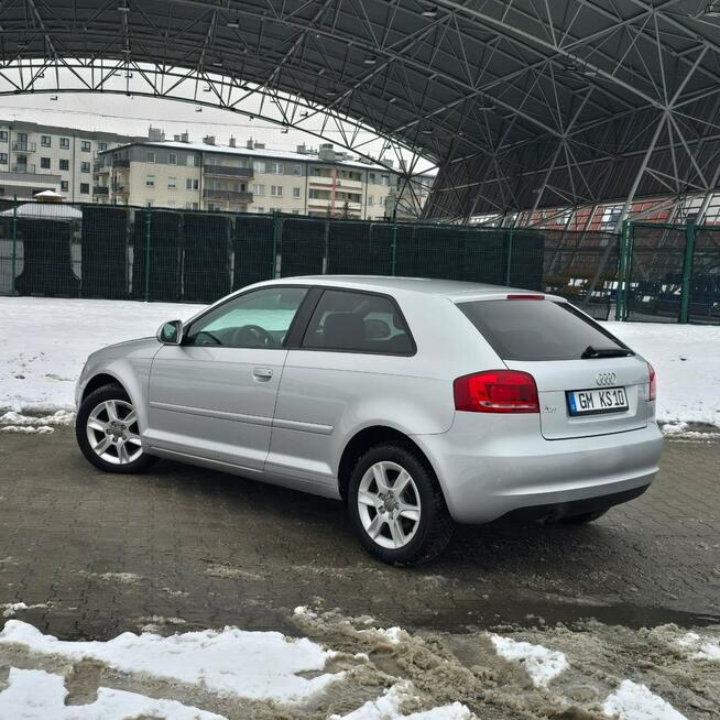 Audi A3 8P 1.6 3-drzwiowe Benzyna