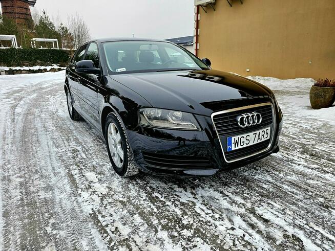 Audi A3 Lift 1.9 TDI DSG 5 Drzwi Serwis