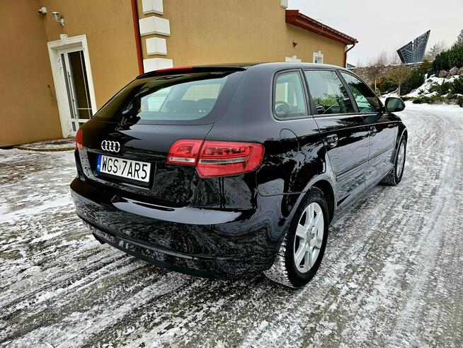 Audi A3 Lift 1.9 TDI DSG 5 Drzwi Serwis