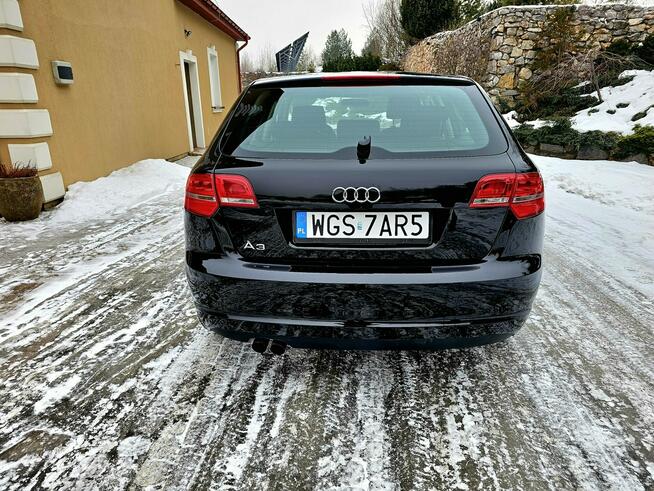 Audi A3 Lift 1.9 TDI DSG 5 Drzwi Serwis