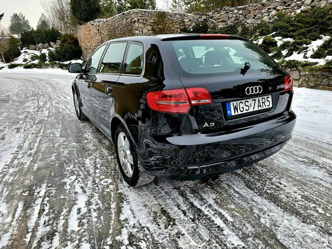 Audi A3 Lift 1.9 TDI DSG 5 Drzwi Serwis
