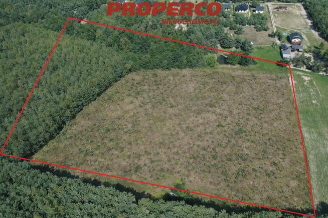 Działka Bogoria-Kolonia gm. Bogoria