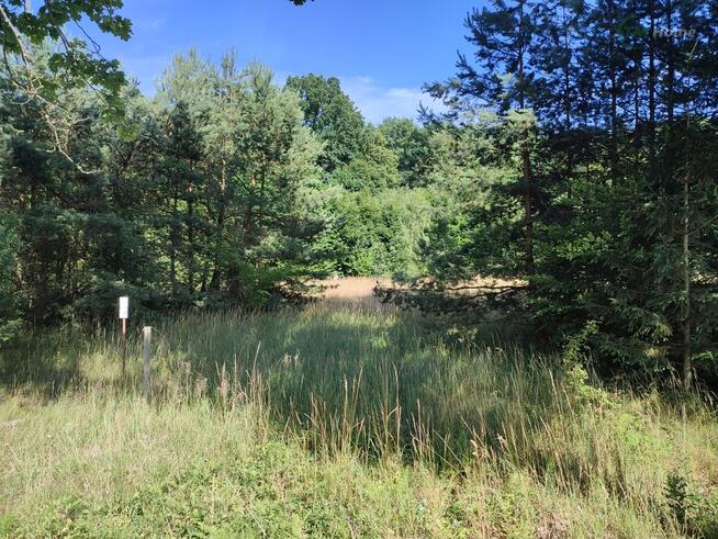 1,4 ha ziemi, dom Młyński - Piękne tereny !