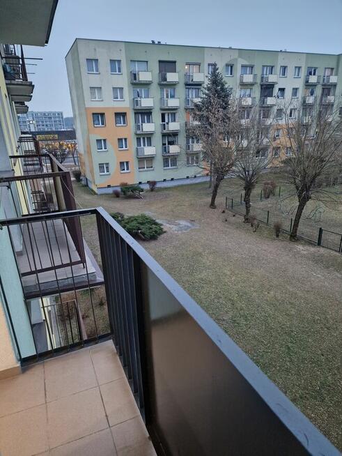 Mieszkanie na wynajem 2 pokoje Ostrów Wlkp,