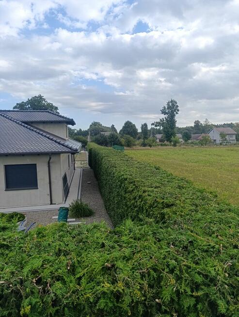 Usługi pielęgnacji ogrodów, przycinanie żywopłotów, drzew