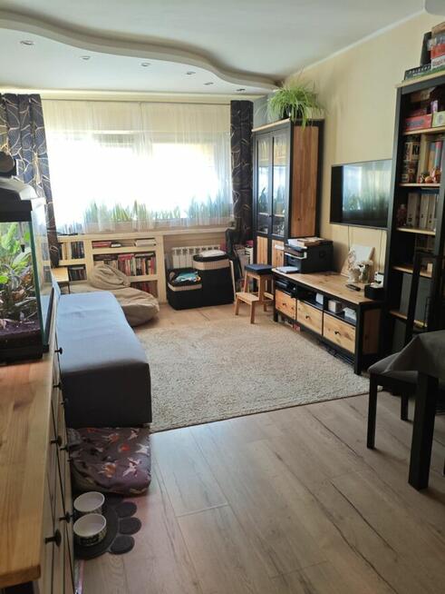 M3Teofilów pełen rozkład balkon bardzo dobra oferta