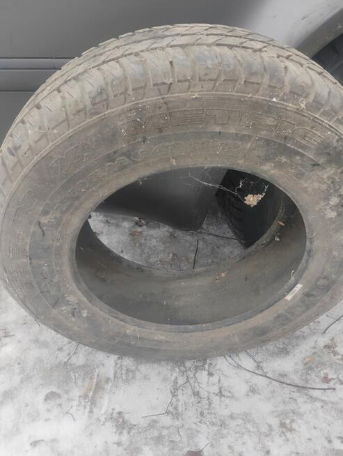 Opona Michelin ALLSEASON 175/70/14