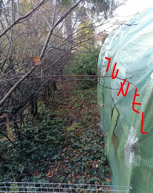 Działka ROD, Białystok - unikalna, prawie jak leśniczówka