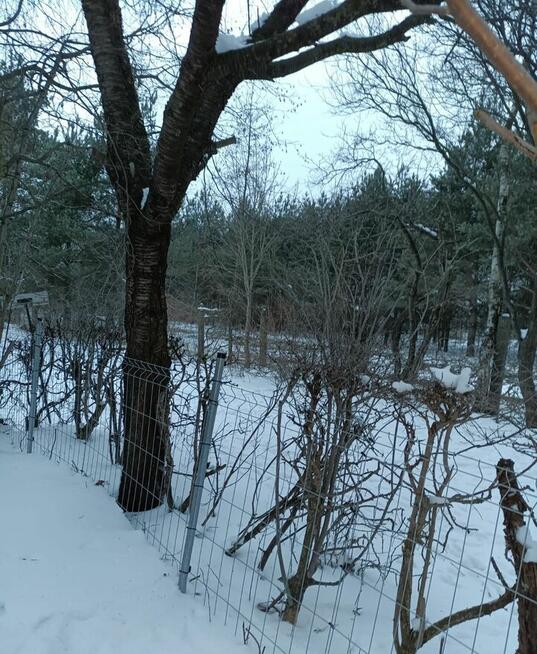 Działka ROD, Białystok - unikalna, prawie jak leśniczówka