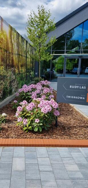 Ogrody Szpakowski. Usługi ogrodnicze