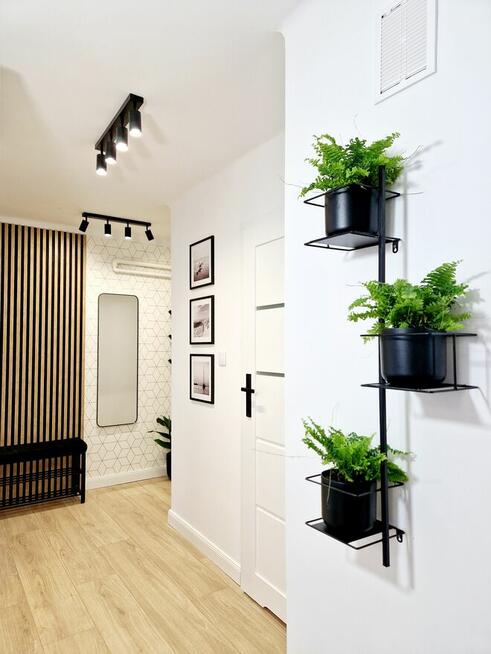 Mieszkanie 46 m² po generalnym remoncie – wysoki standard,