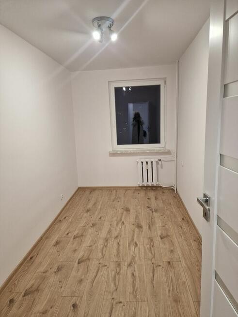 Mieszkanie na wynajem 2 pokoje Ostrów Wlkp,