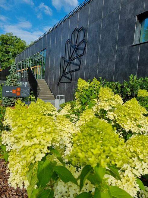 Ogrody Szpakowski. Usługi ogrodnicze