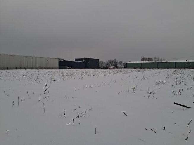 Działka budowlana 1.5ha ogrodzona