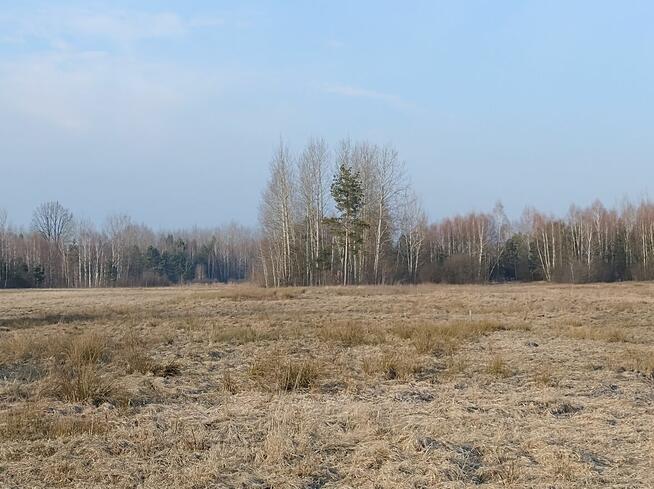 Sprzeda działkę z domkiem drewnianym do remontu