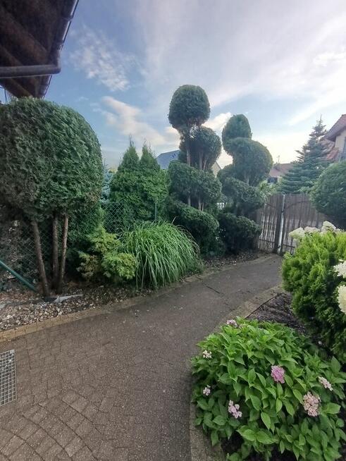 Usługi pielęgnacji ogrodów, przycinanie żywopłotów, drzew