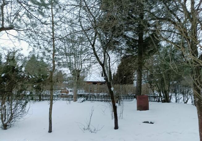 Działka ROD, Białystok - unikalna, prawie jak leśniczówka