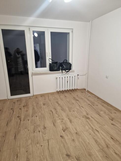 Mieszkanie na wynajem 2 pokoje Ostrów Wlkp,