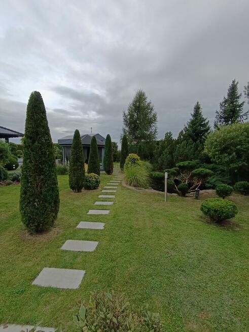 Usługi pielęgnacji ogrodów, przycinanie żywopłotów, drzew