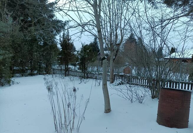 Działka ROD, Białystok - unikalna, prawie jak leśniczówka