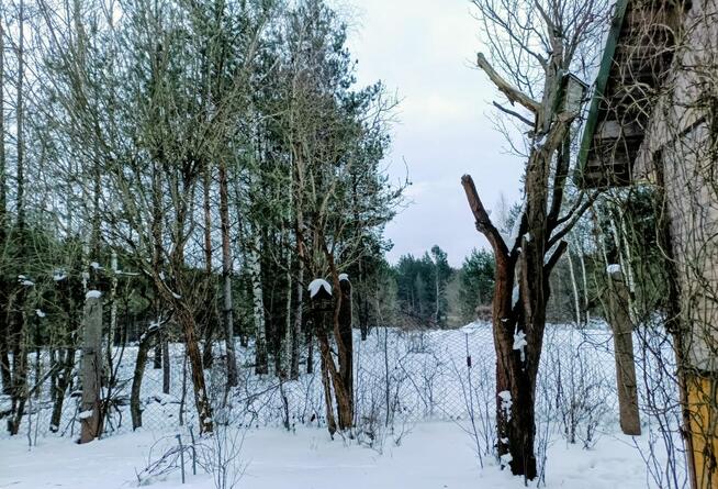 Działka ROD, Białystok - unikalna, prawie jak leśniczówka