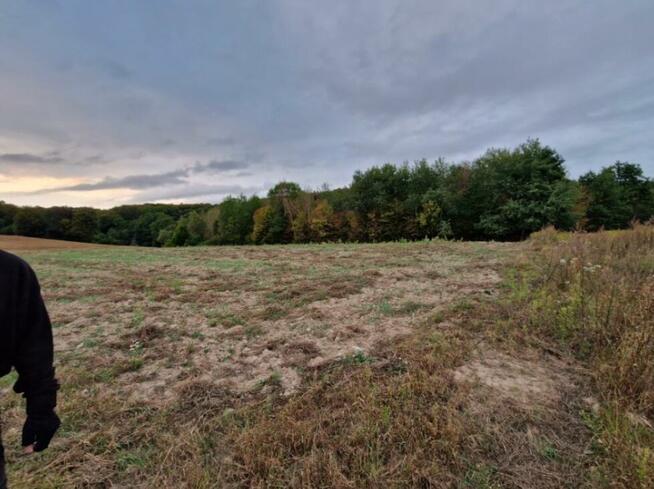 Syndyk sprzeda nieruchomość niezabudowaną - Nawodzice