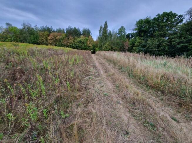 Syndyk sprzeda nieruchomość niezabudowaną - Nawodzice