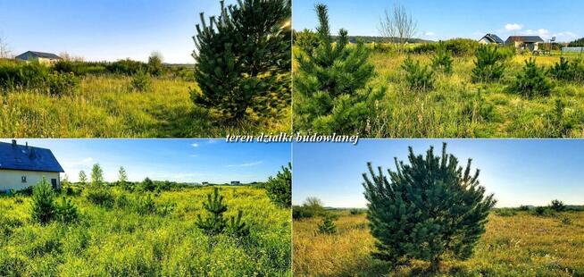 Działka Charzyno gm. Siemyśl, Spacerowa